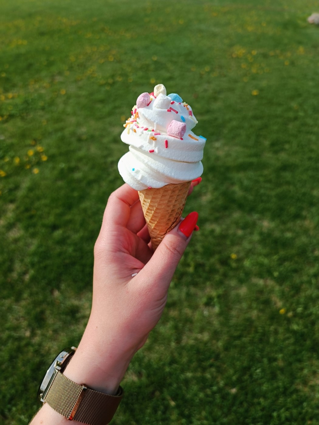 Suur pehme jäätise masin - Pilt 3